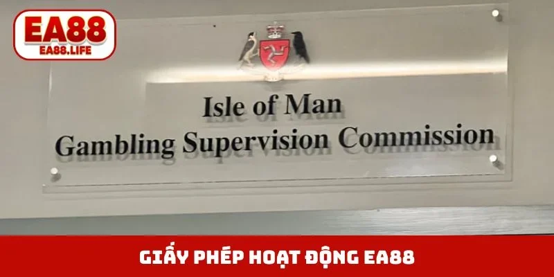 Giấy Phép Hoạt Động EA88