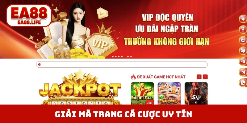 Trang Cá Cược Uy Tín